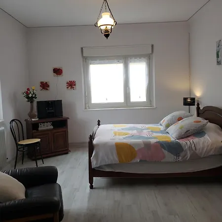 Le Figuier De L'ill 公寓 *