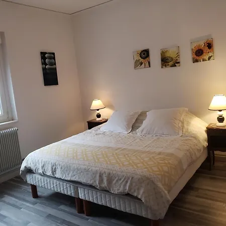 公寓 Le Figuier De L'ill 塞莱斯塔