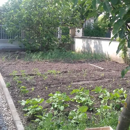 公寓 Le Figuier De L'ill *