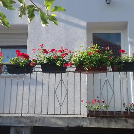 公寓 Le Figuier De L'ill 塞莱斯塔